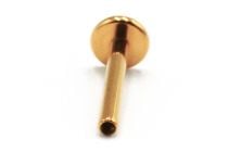 Labret Titane PVD Gold Interne Stérile | Itc